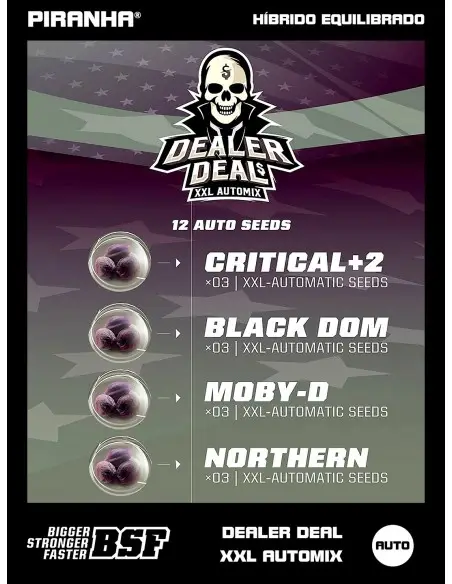 Dealer Deal XXL Automix (12u)