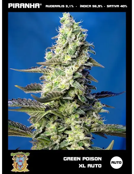 Green Poison XL Auto  (3+1u)