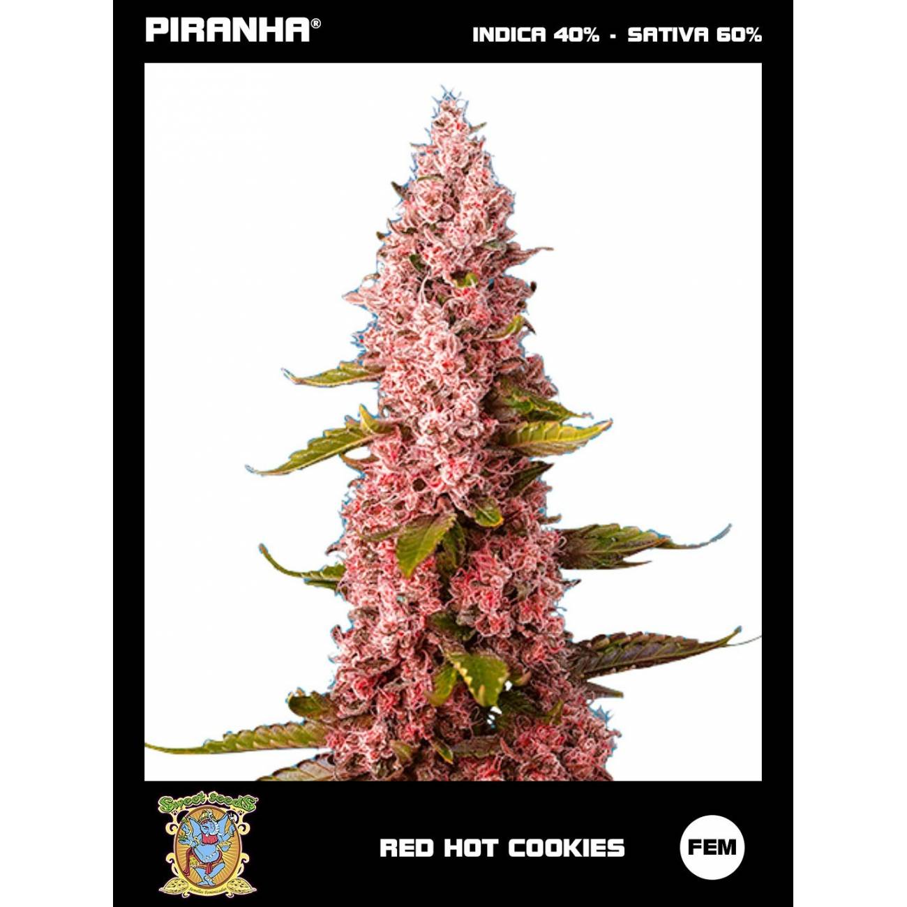 Red Hot Cookies (3+1u)