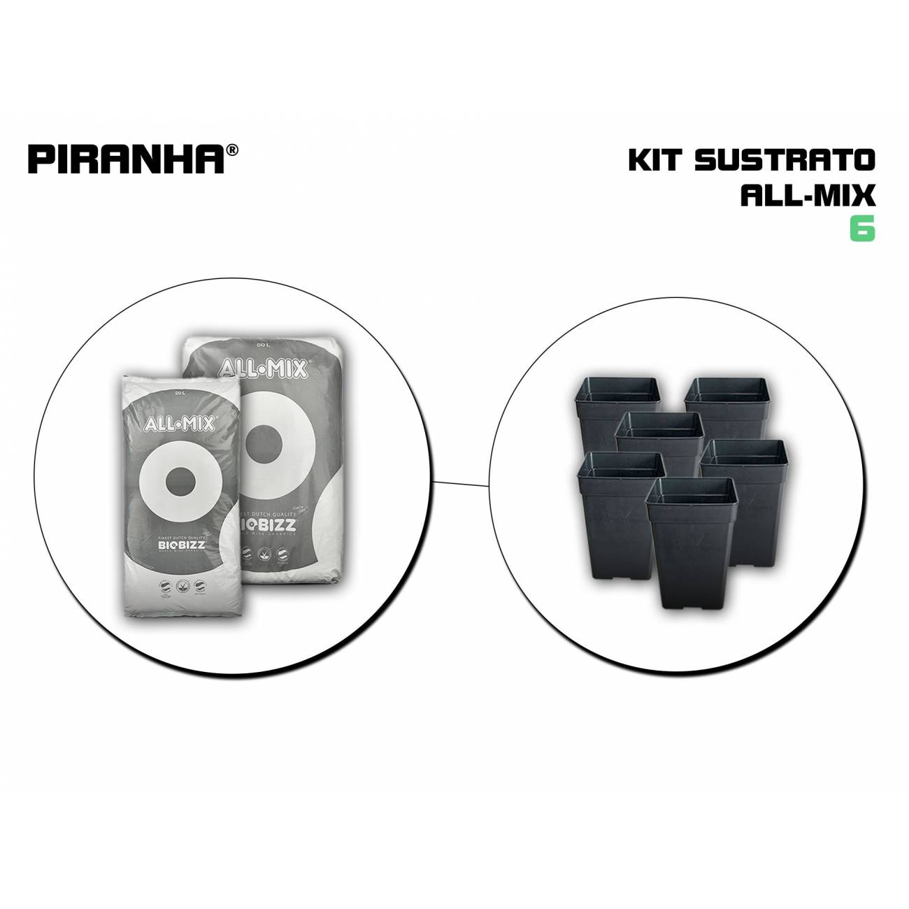 Kit Maceta Sustrato 6 All Mix