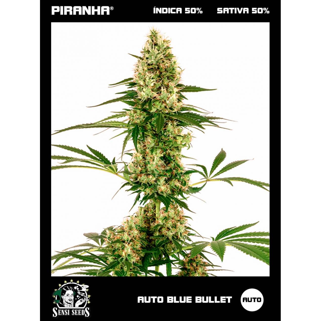 Auto Blue Bullet (3u)