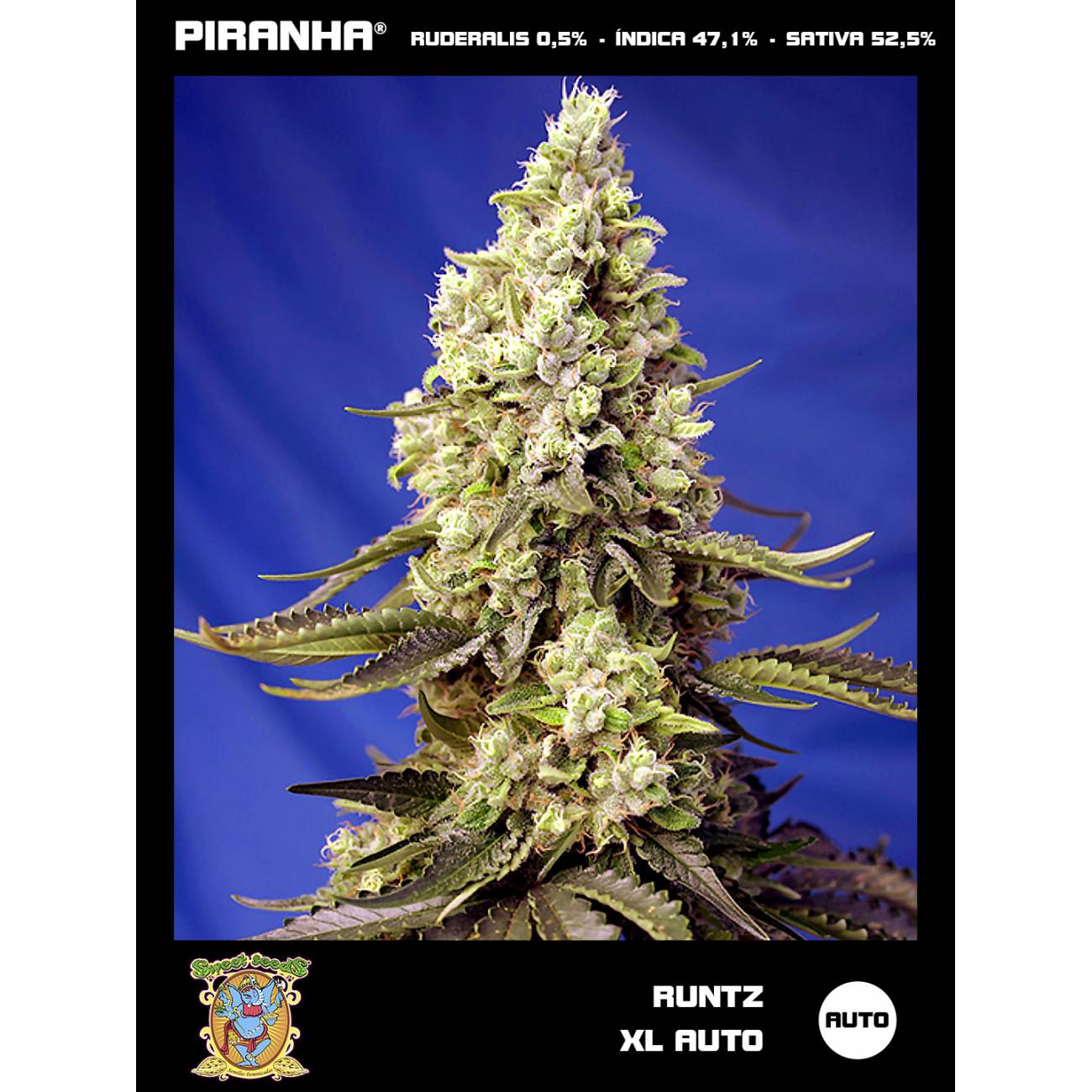 Runtz XL Auto (3+1u)