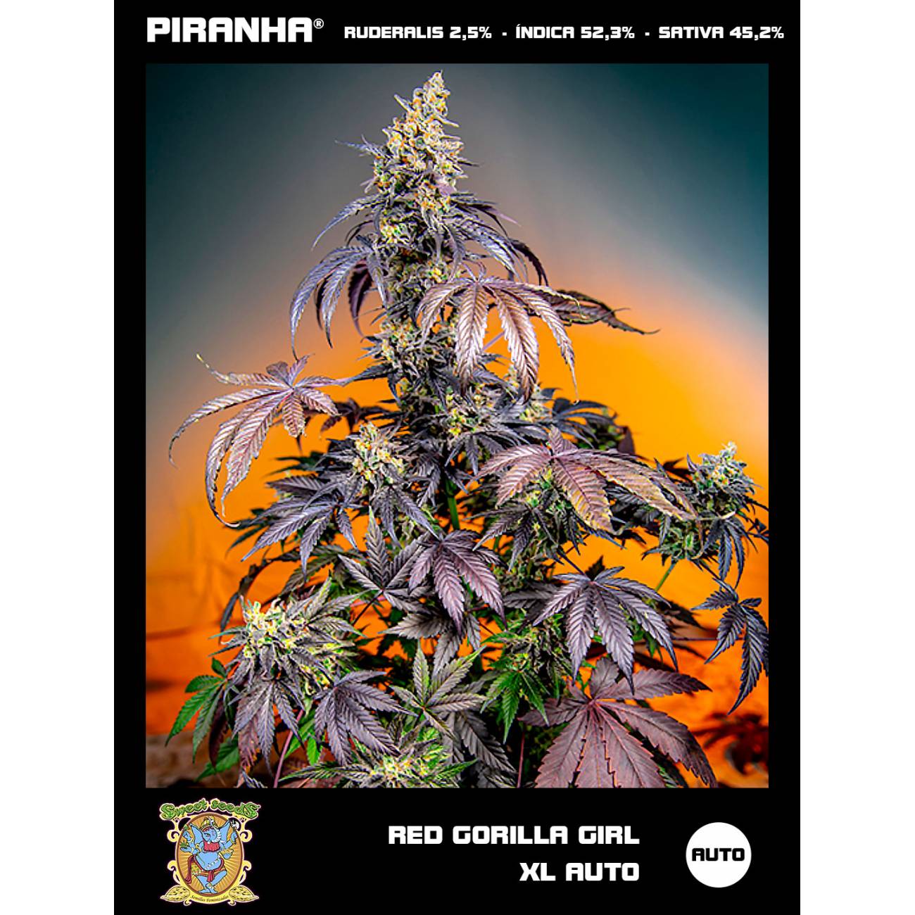 Red Gorilla Girl XL Auto (3+1u)