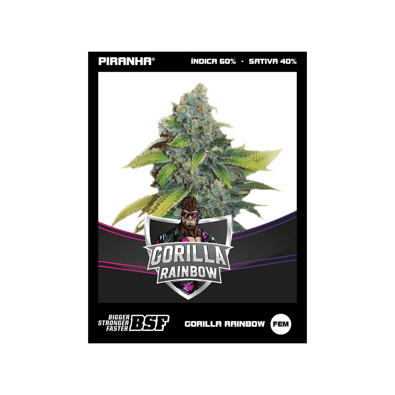 Gorilla Rainbow Draft Line...