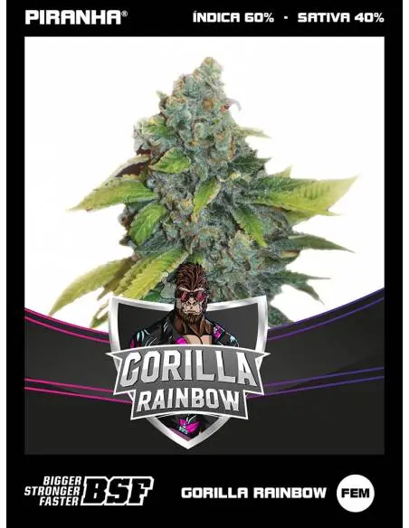 Gorilla Rainbow Draft Line...