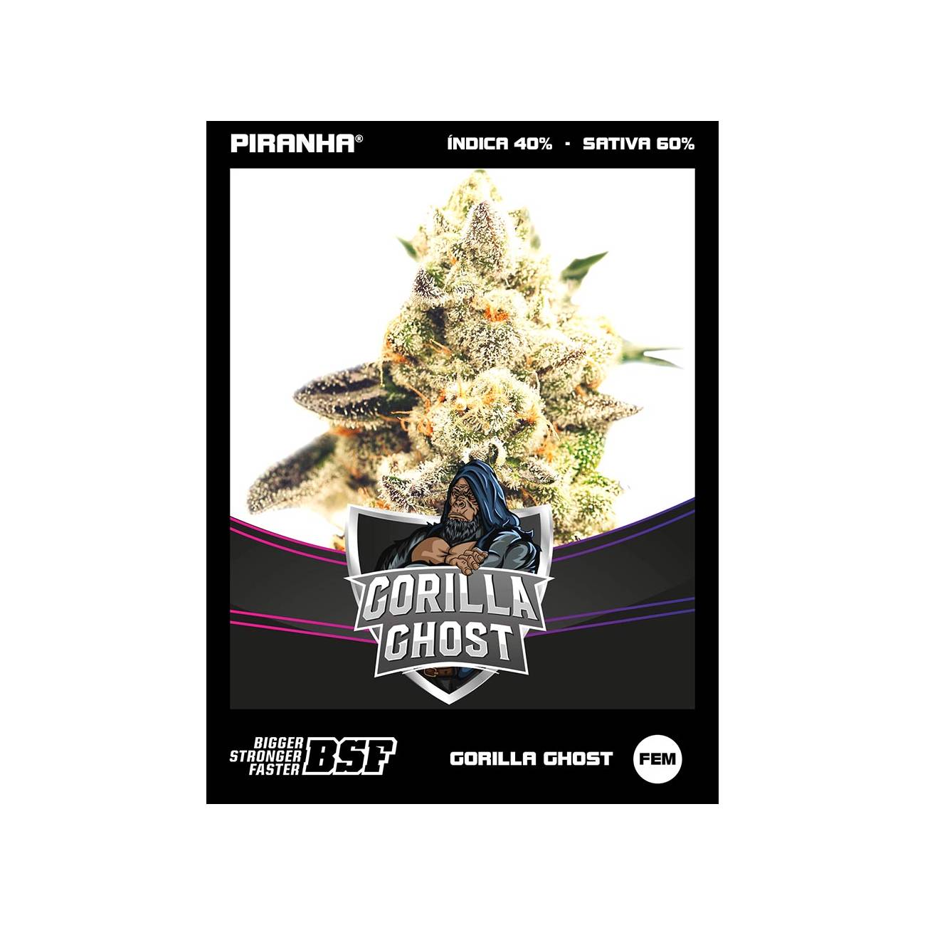 Gorilla Ghost Draft Line (2u/4u/7u/12u)
