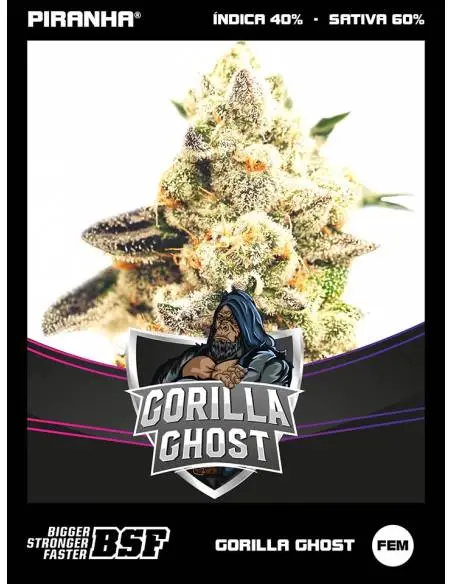 Gorilla Ghost Draft Line...