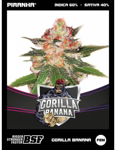 Gorilla Banana Draft Line...