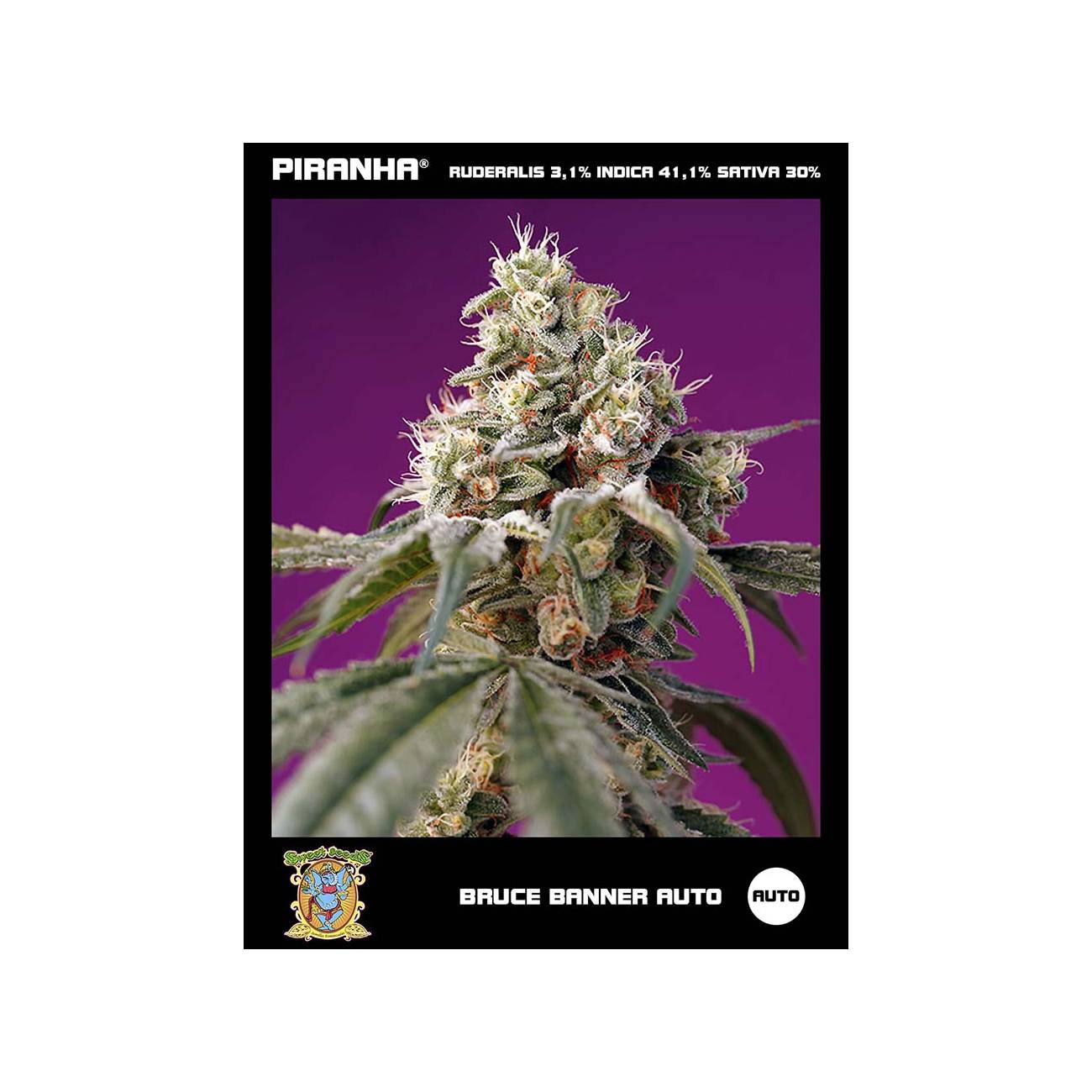 Bruce Banner Auto (3+1u/5+2u)