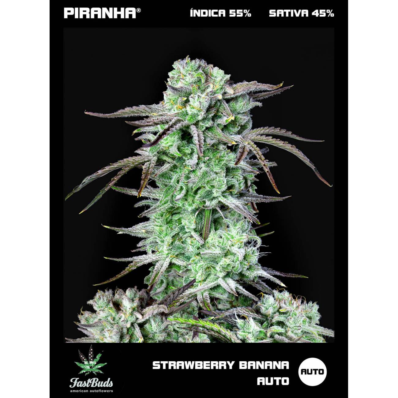Strawberry Banana Auto (1u/3+1u)