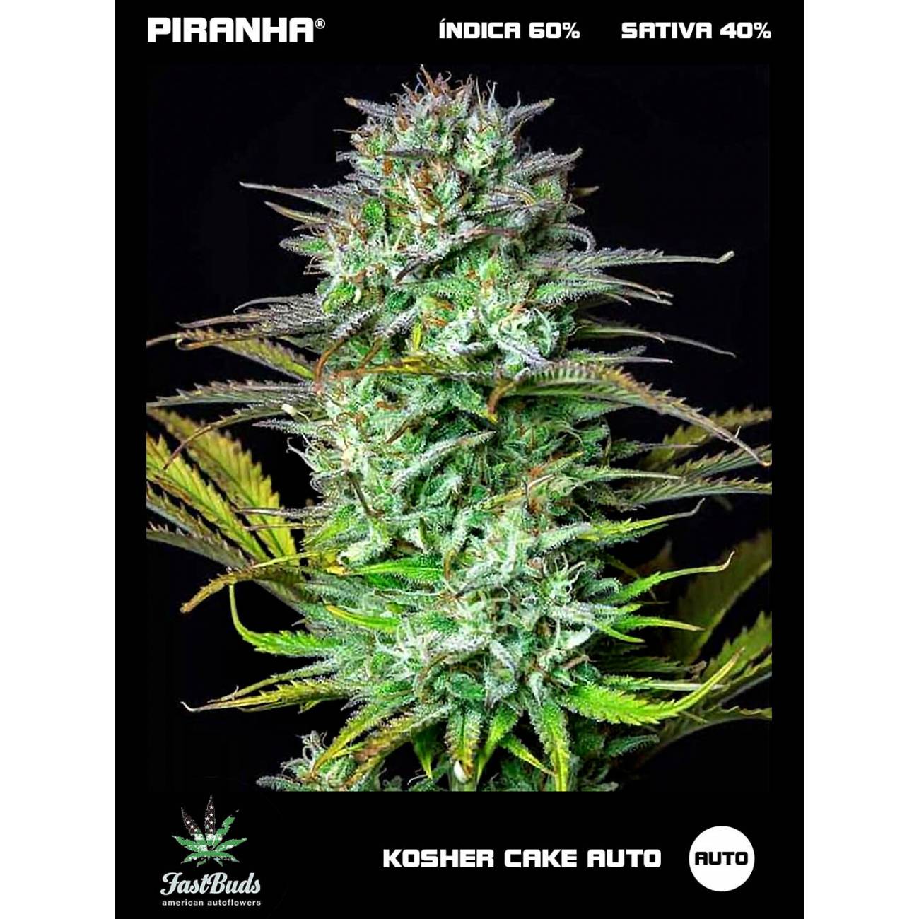 Kosher Cake Auto (1u/3+1u)