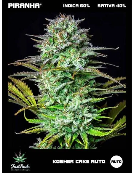 Kosher Cake Auto (1u/3+1u)