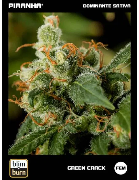 Green Crack (3u)