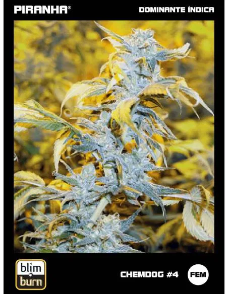 Chemdog N4 (3u)