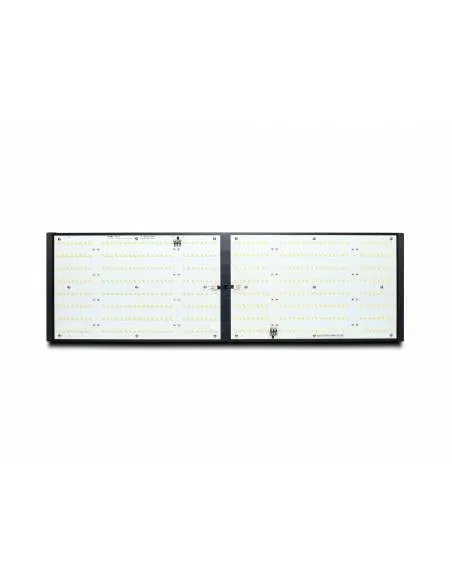 LED Quantum Piranha Q240W