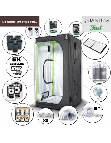 Kit Quantum Board 100 -...