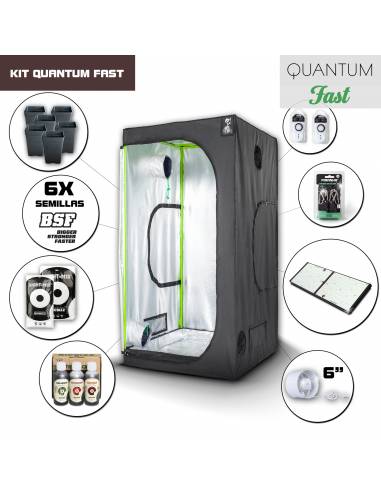 Kit Quantum Board 100 - 240W Fast Medio