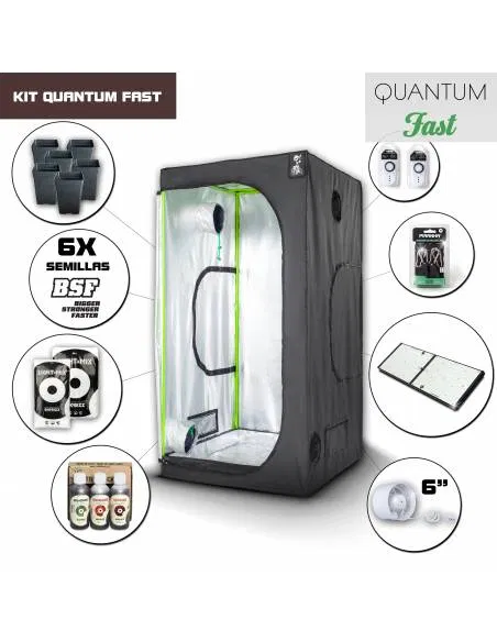 Kit Quantum Board 100 -...