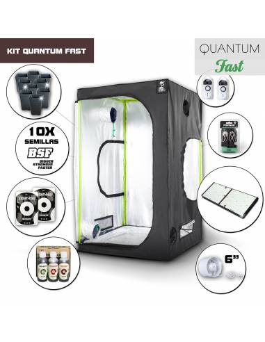 Kit Quantum Board 120 - 240W Fast Medio