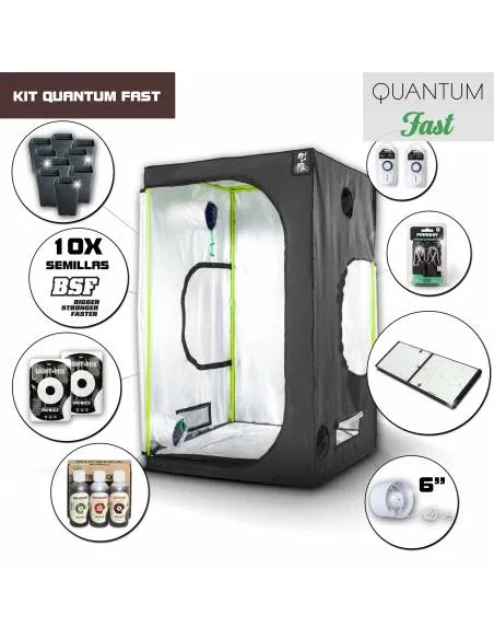 Kit Quantum Board 120 -...