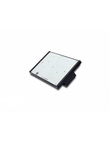 LED Quantum Piranha Q120W
