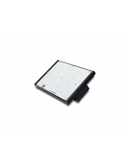 LED Quantum Piranha Q120W