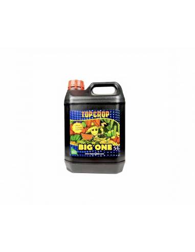 Big One 5L