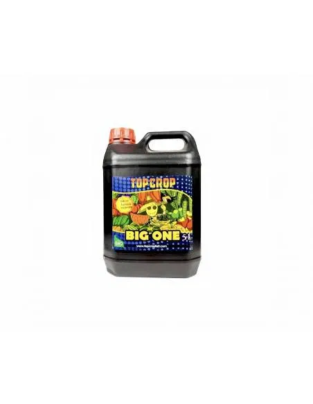 Big One 5L