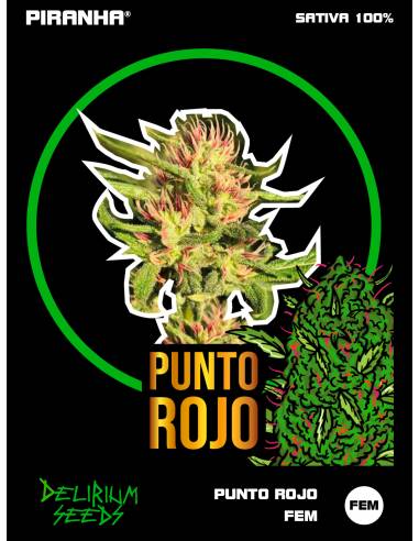 Punto Rojo (1u/2u/4u/7u/12u)