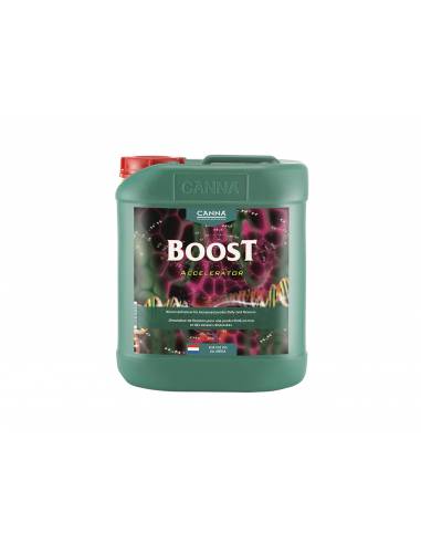 Boost Accelerator 5L