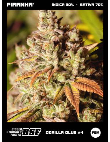 Gorilla Glue N4 (50u/100u)