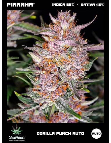 Gorilla Punch Auto (1u/3+1u)