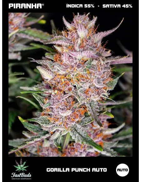 Gorilla Punch Auto (1u/3+1u)
