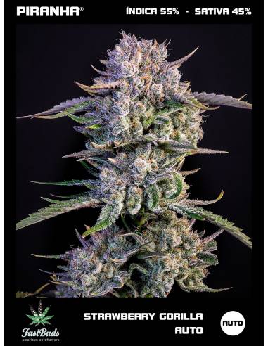 Strawberry Gorilla Auto (1u/3+1u/5+2u)