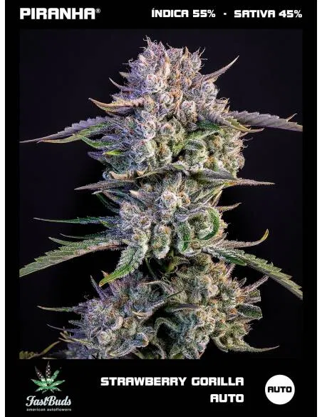 Strawberry Gorilla Auto...