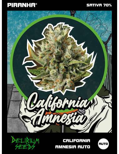 California Amnesia Auto (1u/2u/4u/7u)