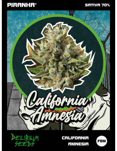 California Amnesia (1u/2u/4u/7u)