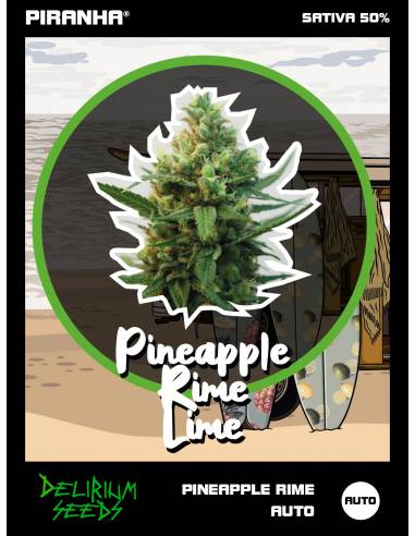 Pineapple Rime Lime Auto (1u/2u/4u/7u)