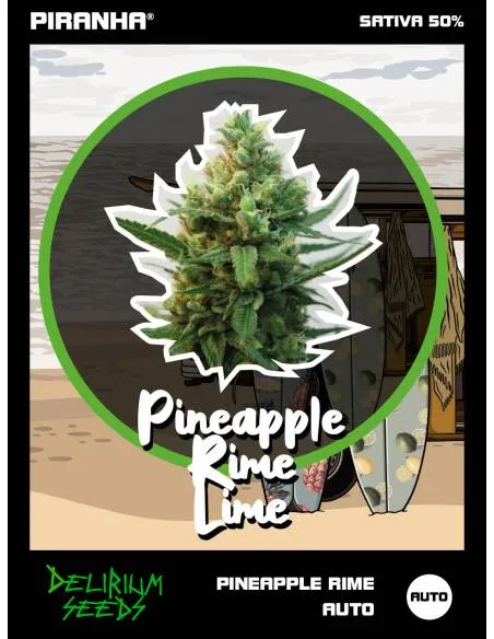 Pineapple Rime Lime Auto...