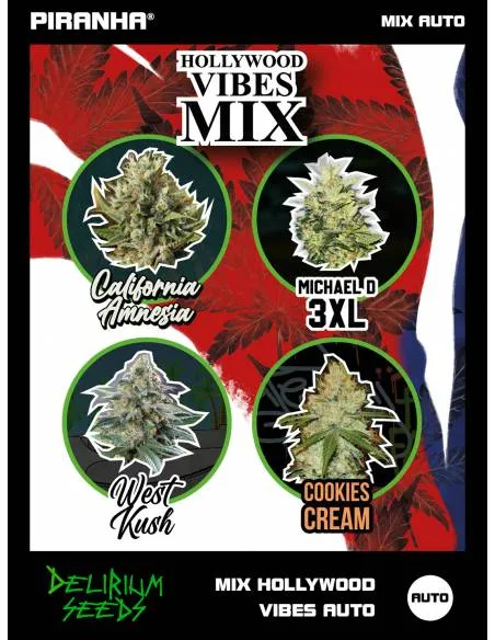 Mix Hollywood Vibes Auto...