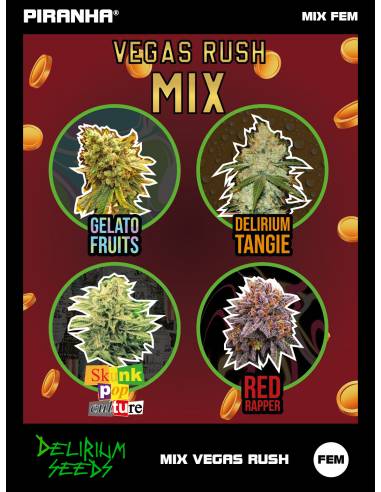 Mix Feminized Vegas Rush (4u/8u/14u)