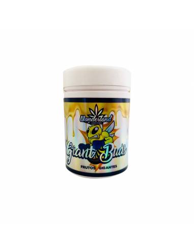Giant Buds 52/34 Engorde Mineral 120g