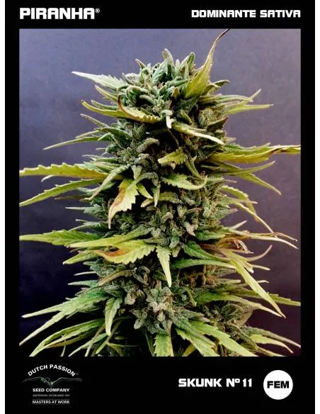Skunk Nº11 (3+1u)