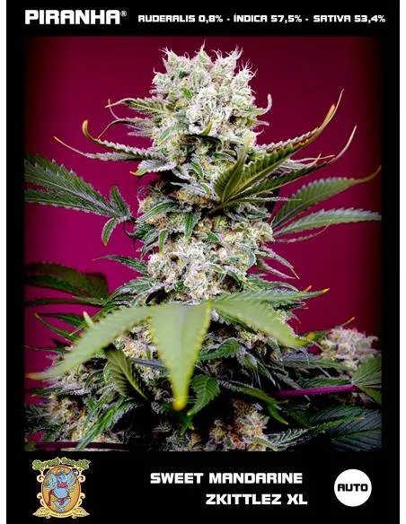 Sweet Mandarine Zkittlez XL...