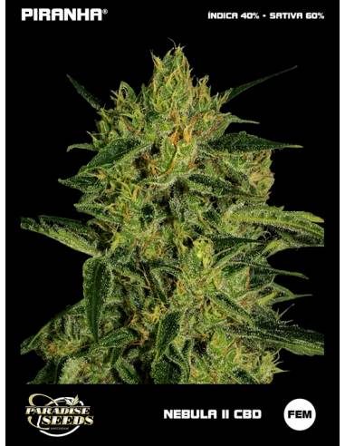 Nebula II CBD (3u)
