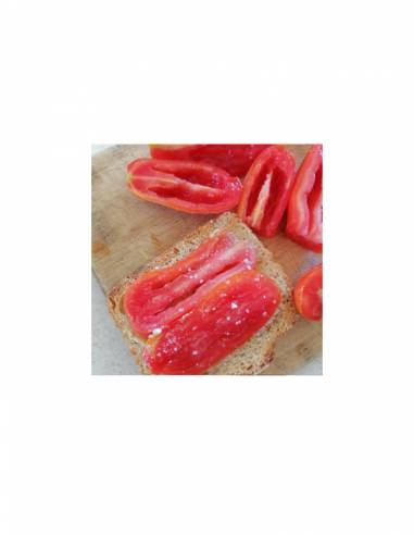 Tomate San Marzano