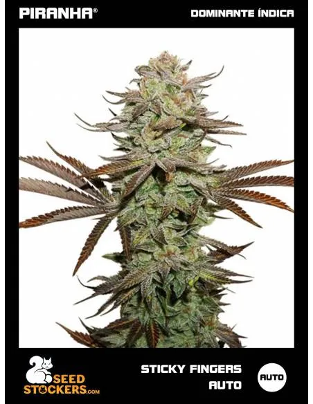 Sticky Fingers Auto (3u)