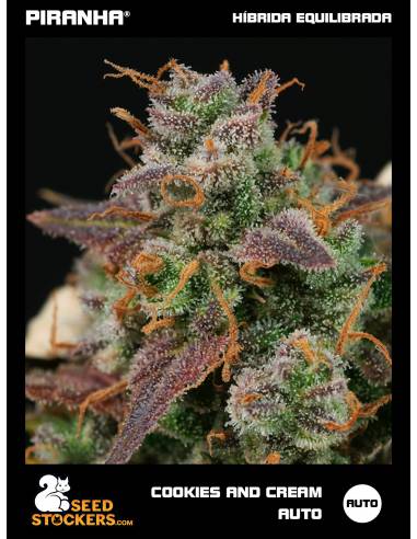 Cookies and Cream Auto (3u)