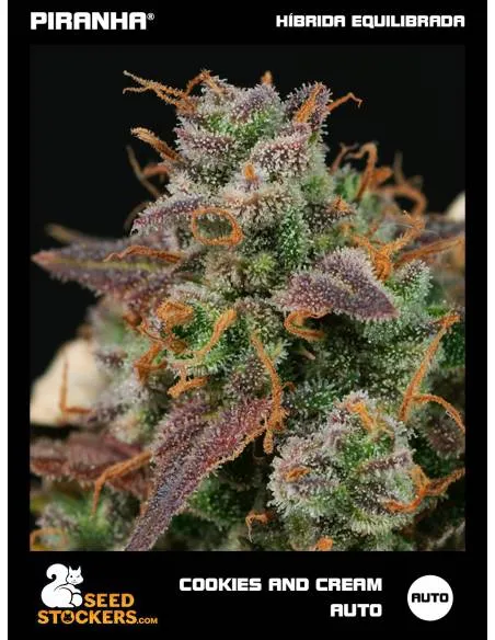 Cookies and Cream Auto (3u)