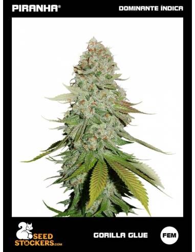 Gorilla Glue (3u)